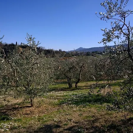 Madonna Della Rosa דירה